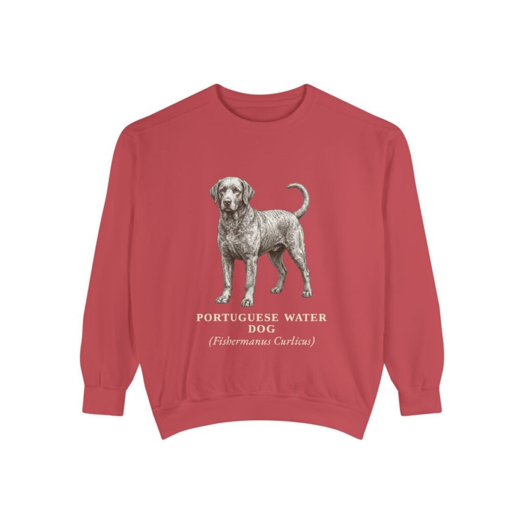 Portuguese Water Dog Latin Sweatshirt, Crimson, front view