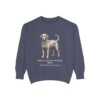 Portuguese Water Dog Latin Sweatshirt, Denim, front view
