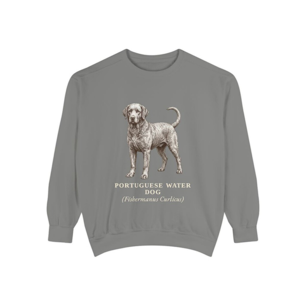 Portuguese Water Dog Latin Sweatshirt, Grey, front view