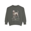 Portuguese Water Dog Latin Sweatshirt, Pepper, front view