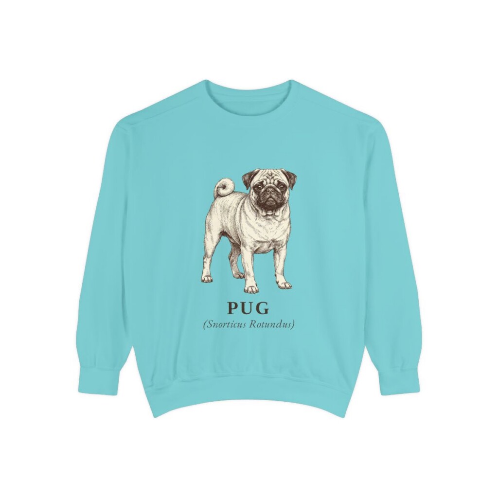 Pug Latin Sweatshirt, Chalky Mint, front view