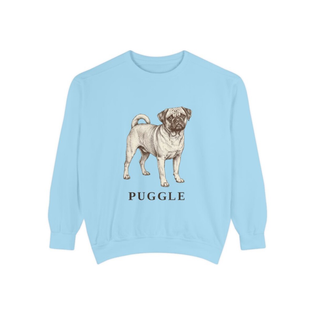 Puggle Sweatshirt, Chambray, front view