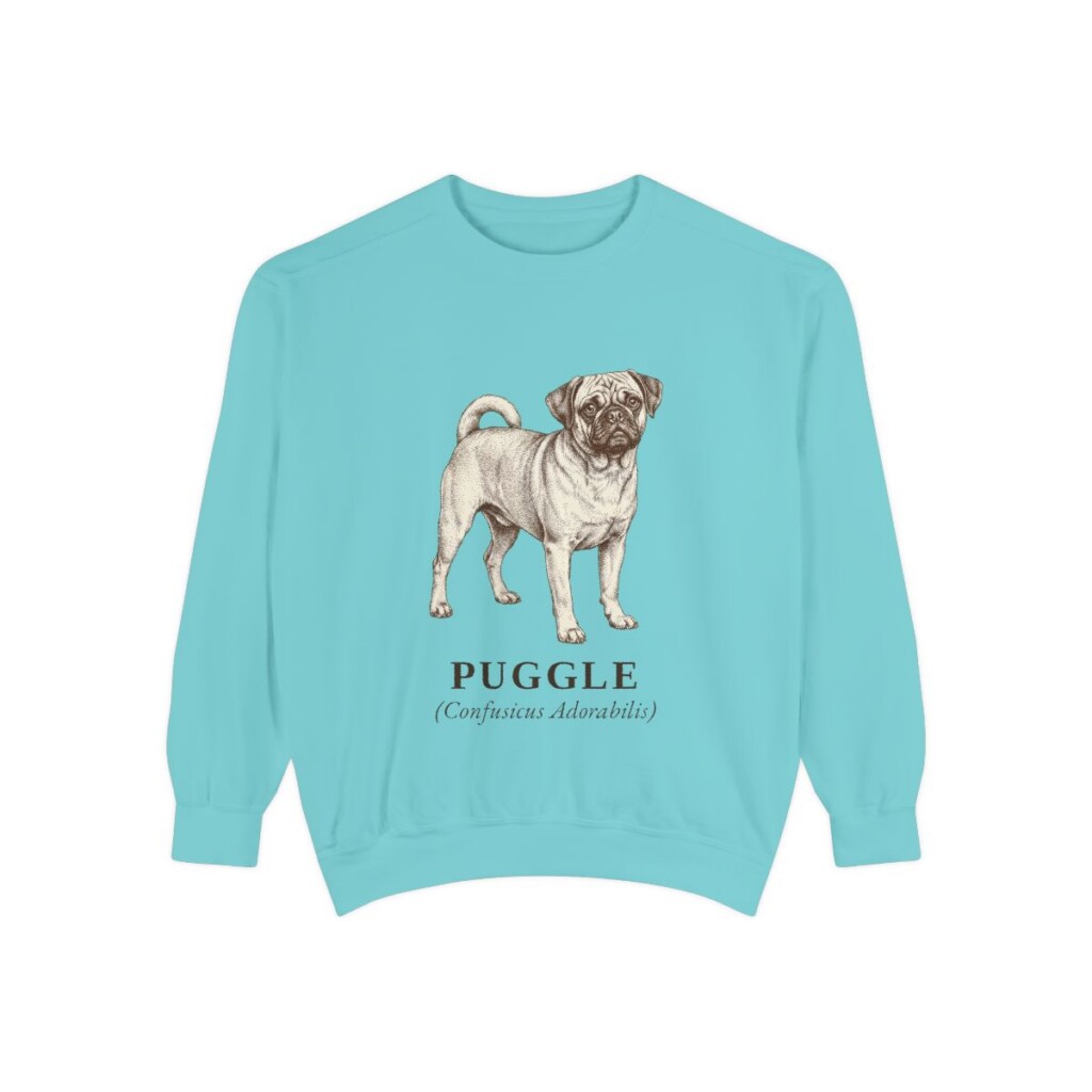Puggle Latin Sweatshirt, Chalky Mint, front view