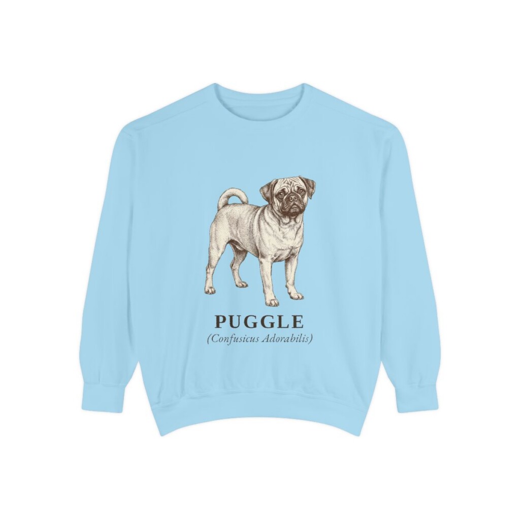 Puggle Latin Sweatshirt, Chambray, front view