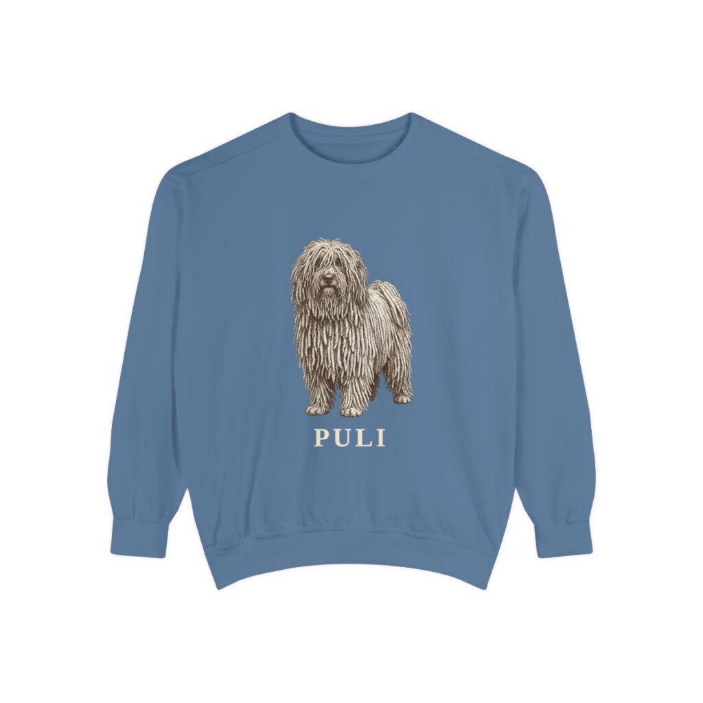 Puli Sweatshirt, Blue Jean, front view