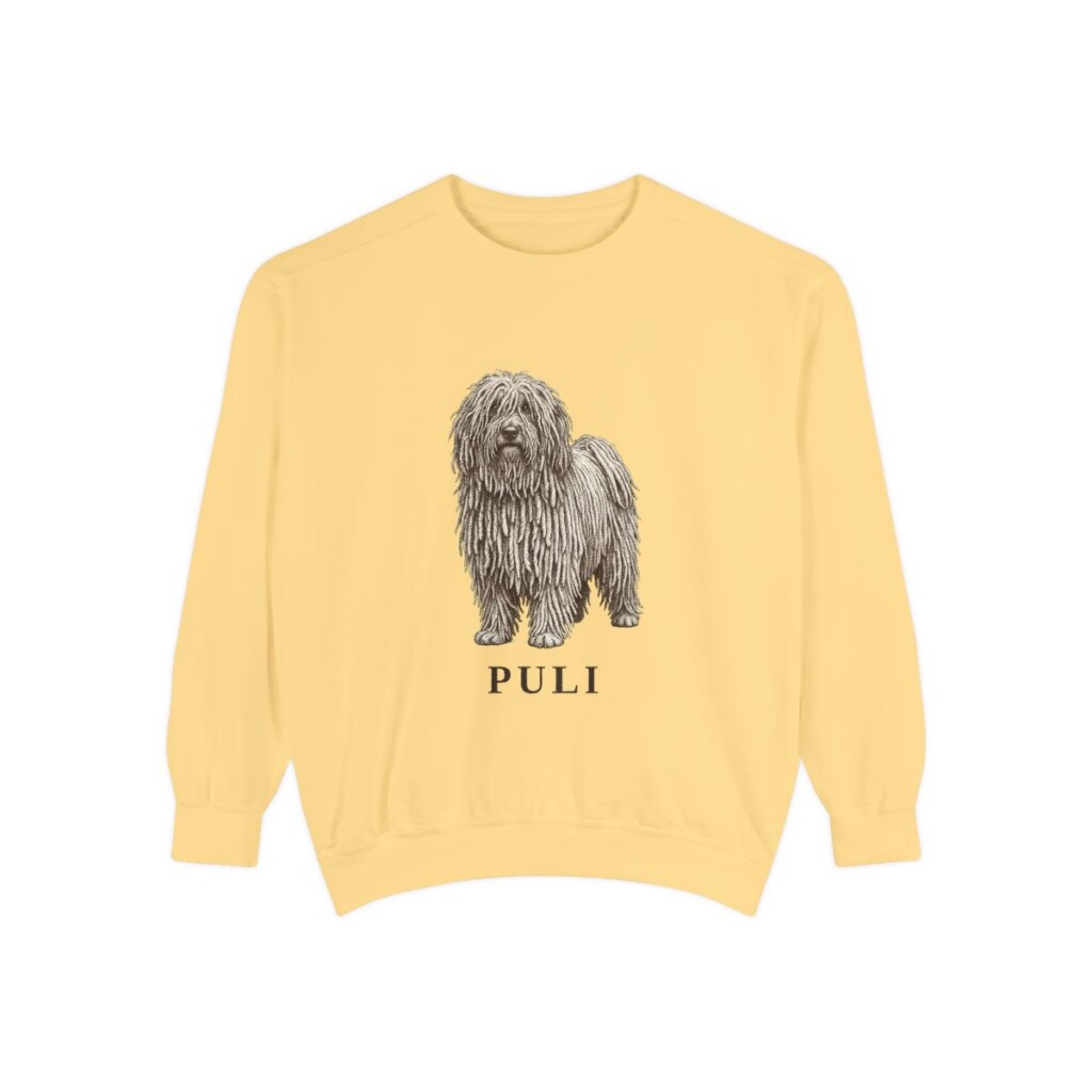 Puli Sweatshirt, Butter, front view