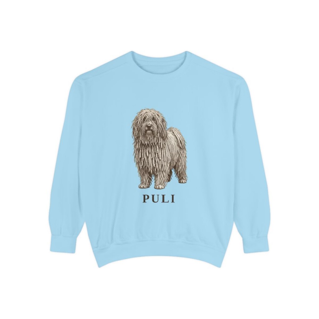 Puli Sweatshirt, Chambray, front view