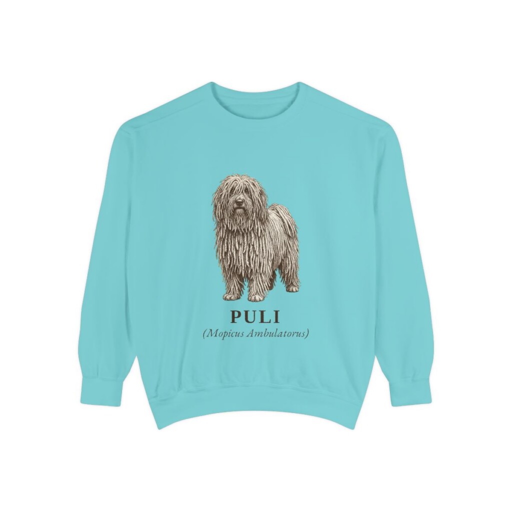 Puli Latin Sweatshirt, Chalky Mint, front view