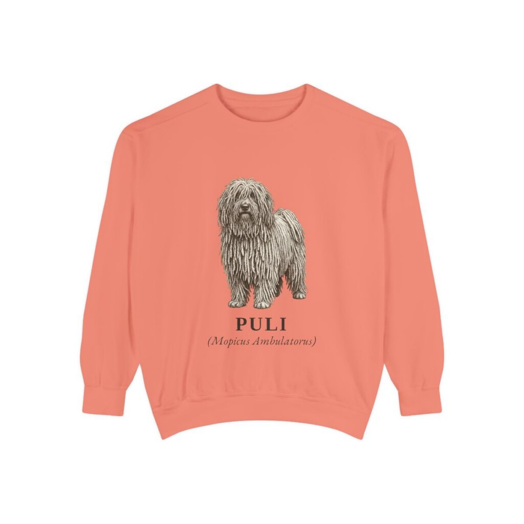 Puli Latin Sweatshirt, Terracotta, front view