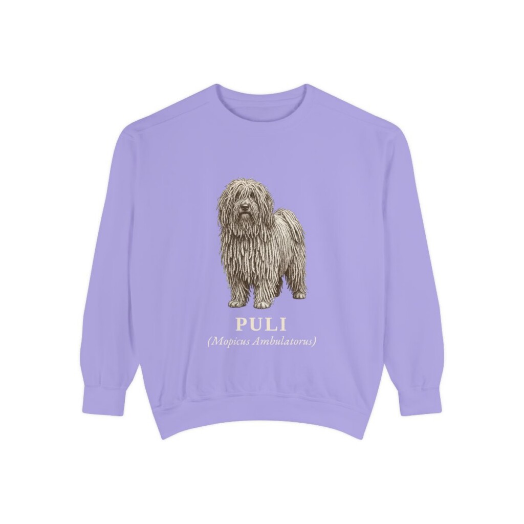 Puli Latin Sweatshirt, Violet, front view