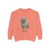 Puli Sweatshirt, Terracotta, front view