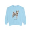 pumi-sweatshirt-chambray Pumi Sweatshirt, Chambray, front view