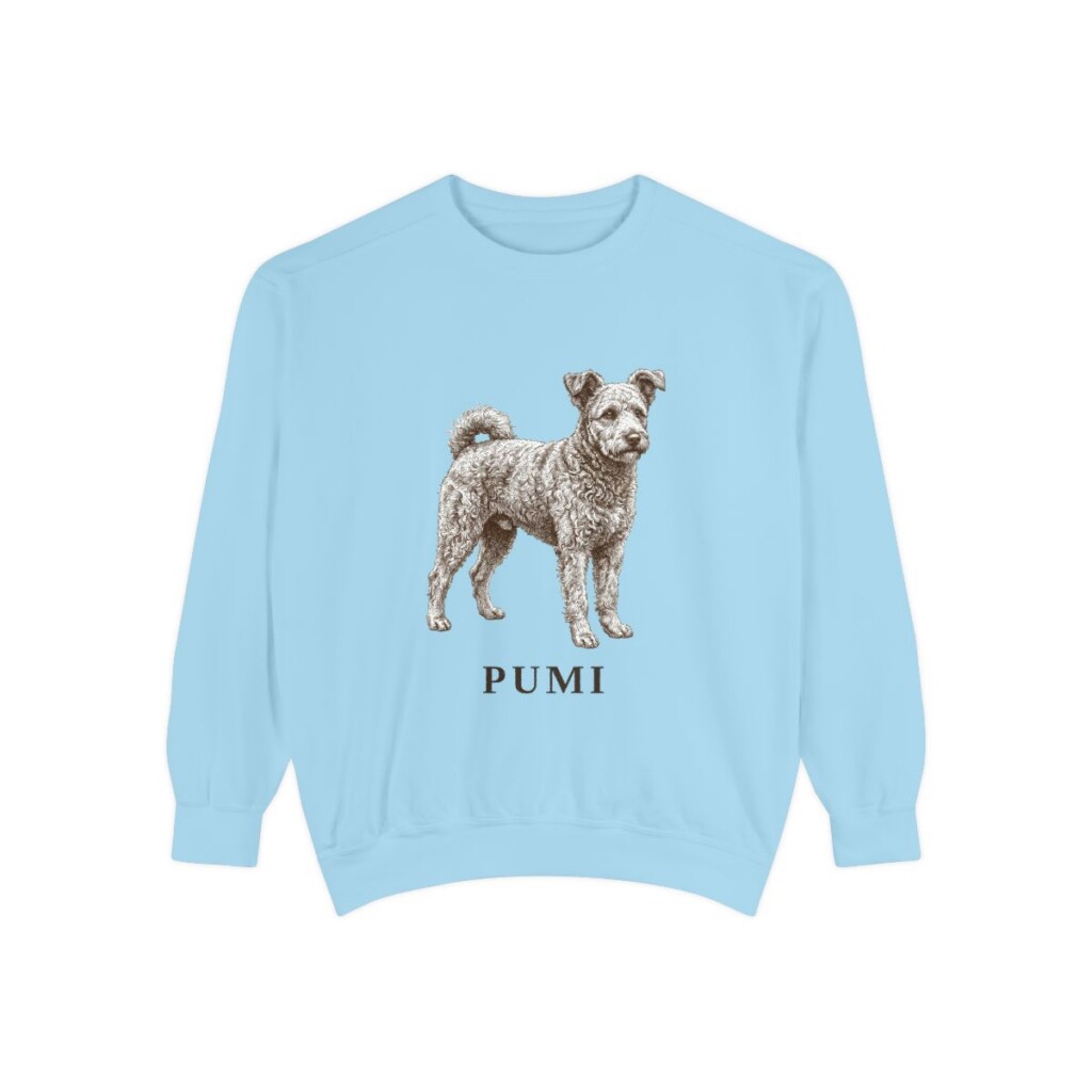 pumi-sweatshirt-chambray Pumi Sweatshirt, Chambray, front view