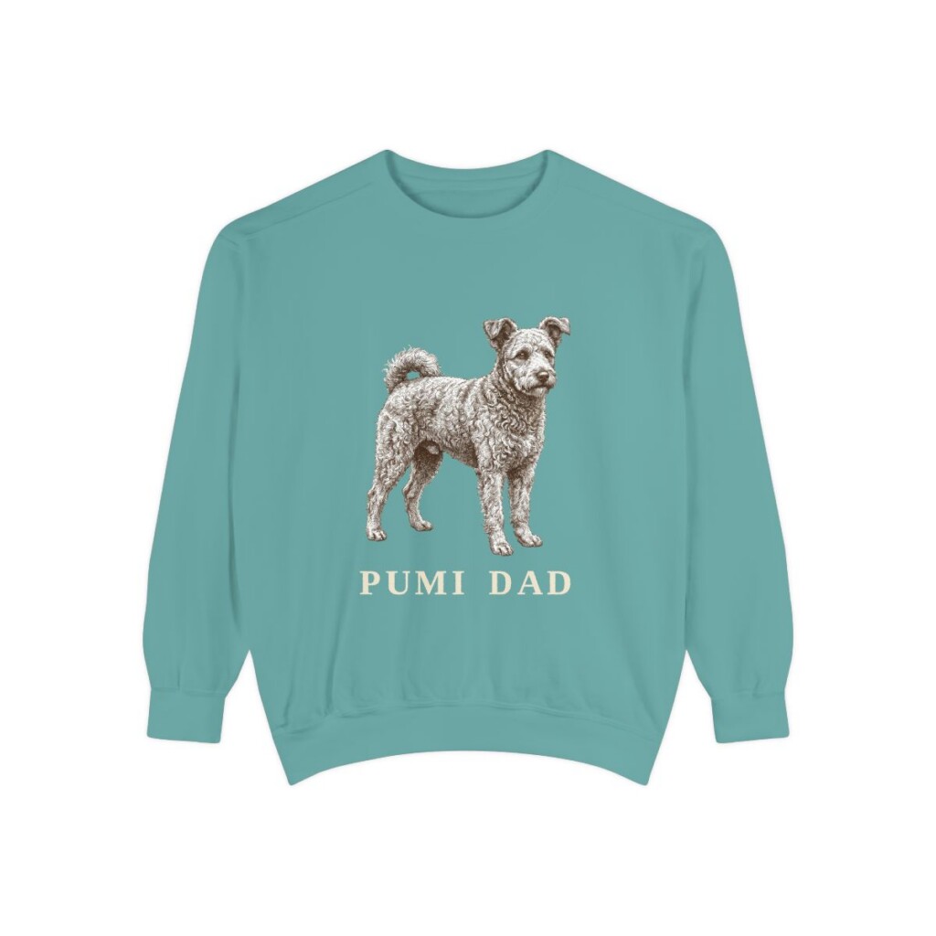 Pumi Dad Sweatshirt, Seafoam, front view