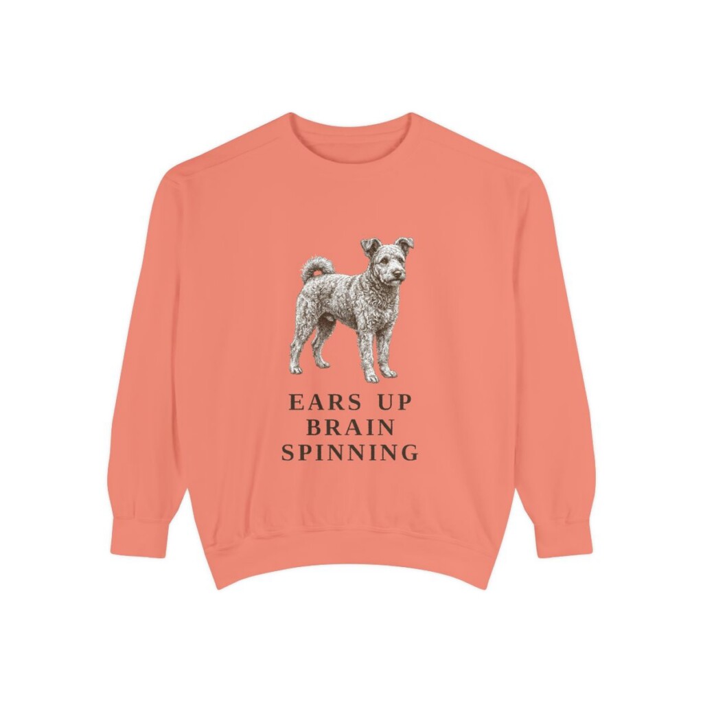 Pumi Humor Sweatshirt, Terracotta, front view