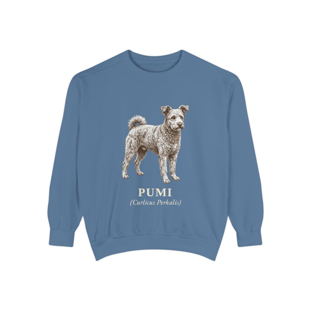 Pumi Latin Sweatshirt, Blue Jean, front view