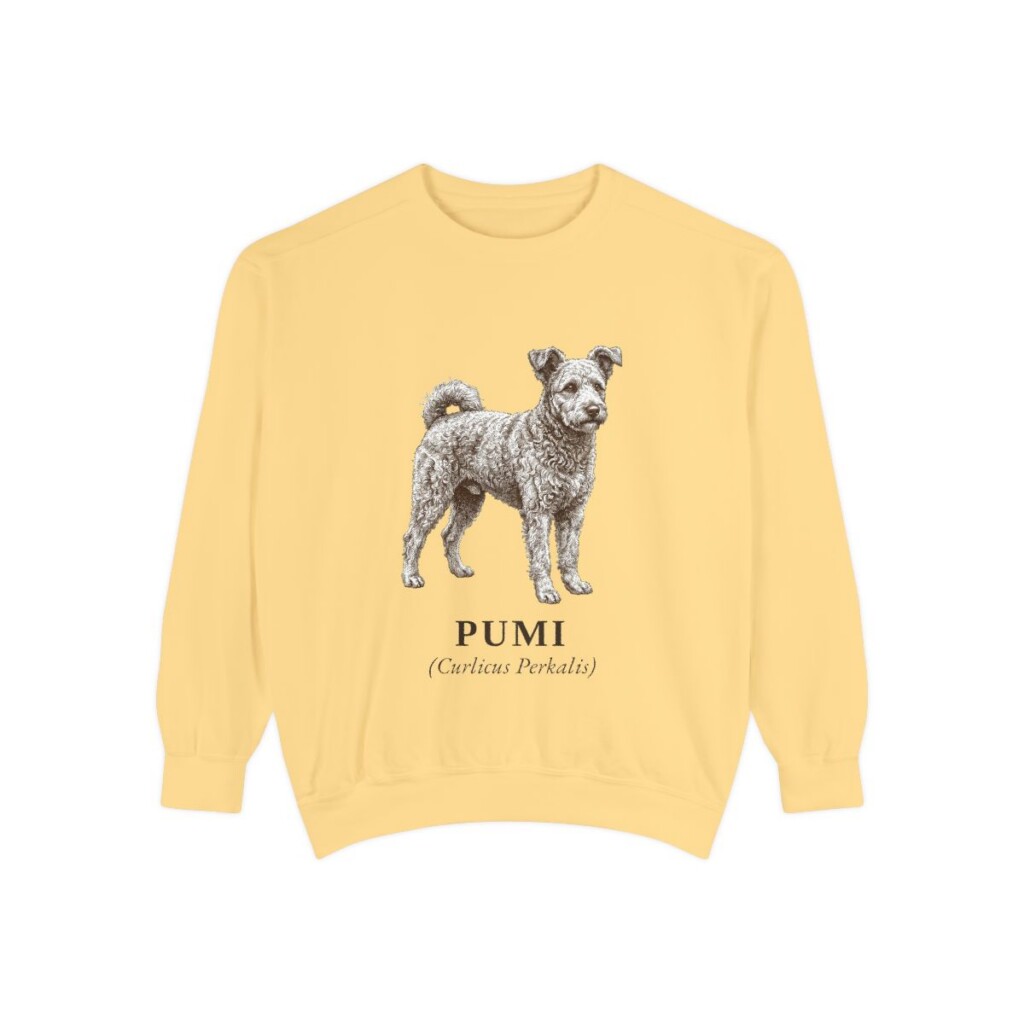 Pumi Latin Sweatshirt, Butter, front view