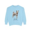 Pumi Latin Sweatshirt, Chambray, front view