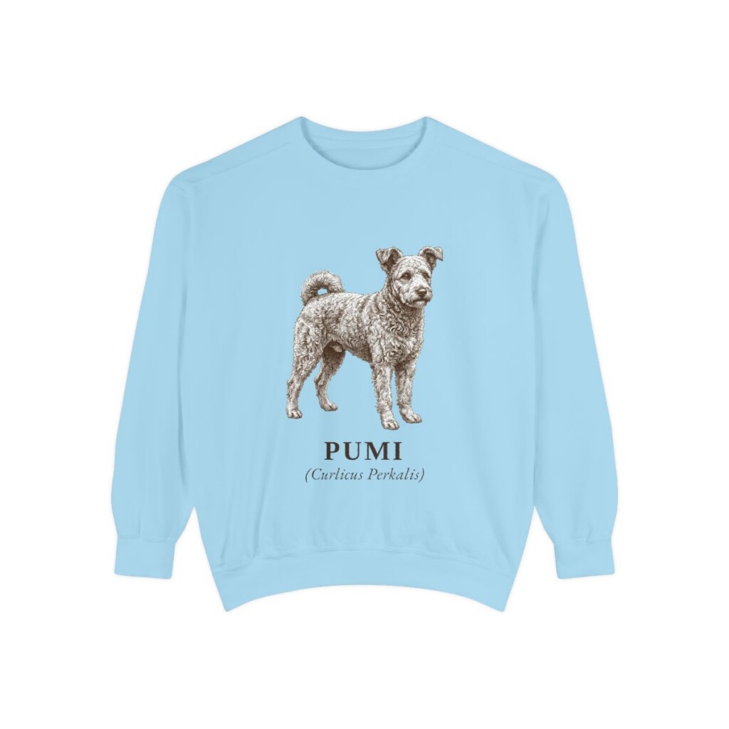 Pumi Latin Sweatshirt, Chambray, front view
