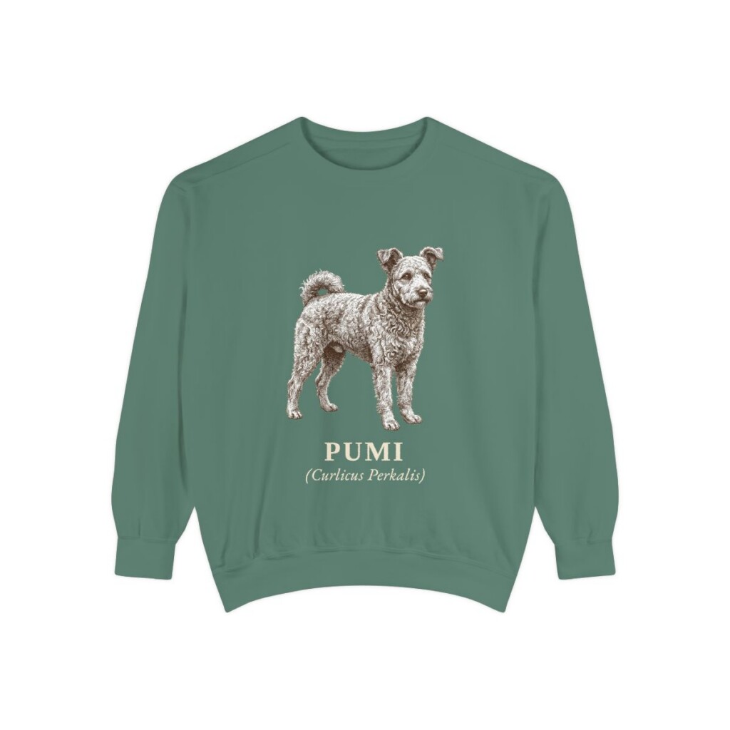 Pumi Latin Sweatshirt, Light Green, front view