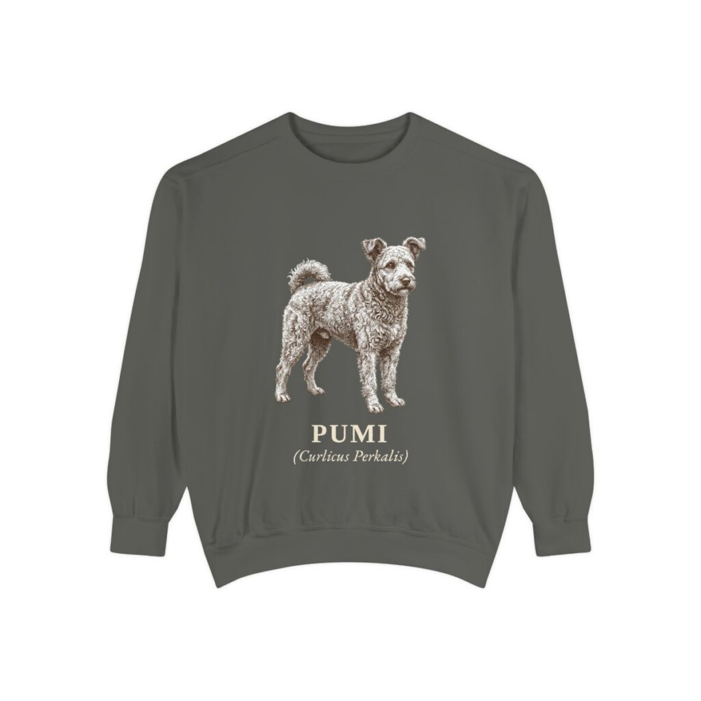 Pumi Latin Sweatshirt, Pepper, front view