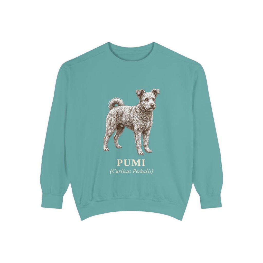 Pumi Latin Sweatshirt, Seafoam, front view