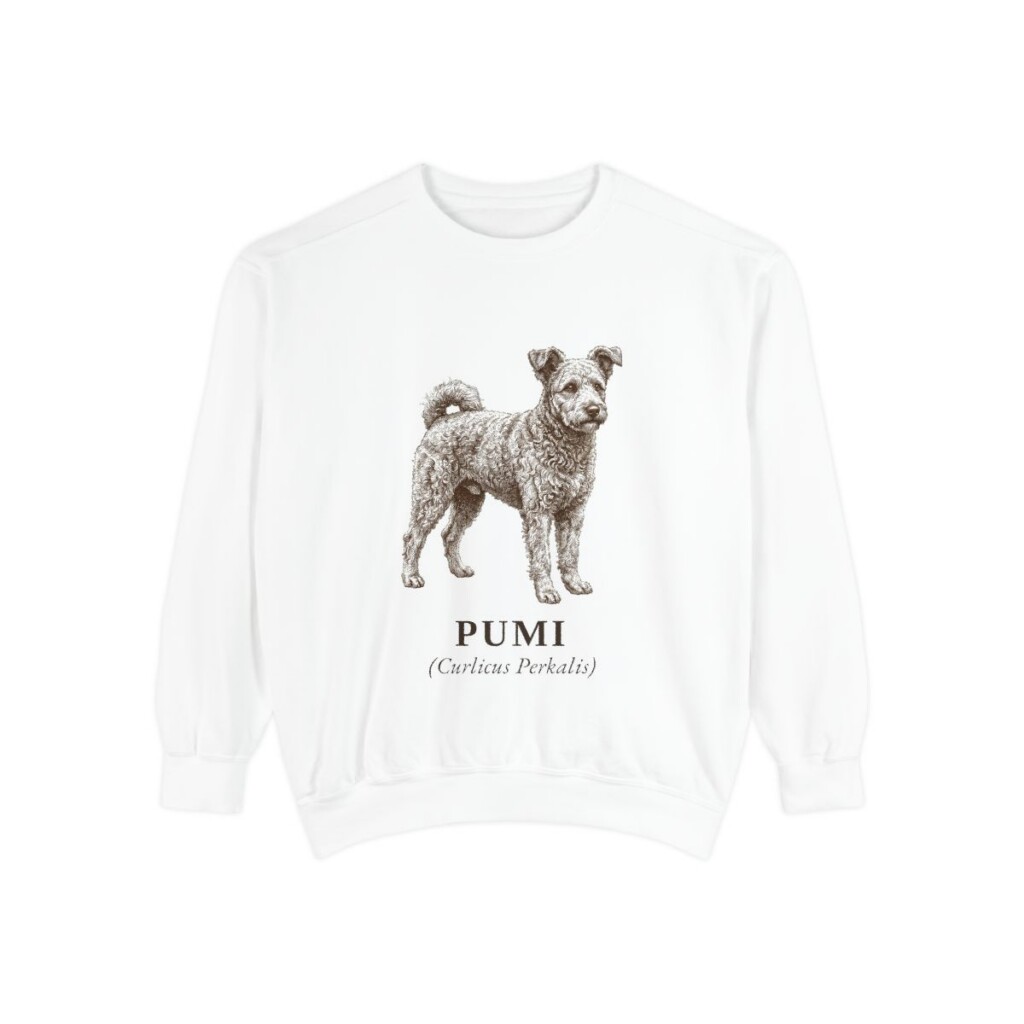 Pumi Latin Sweatshirt, White, front view