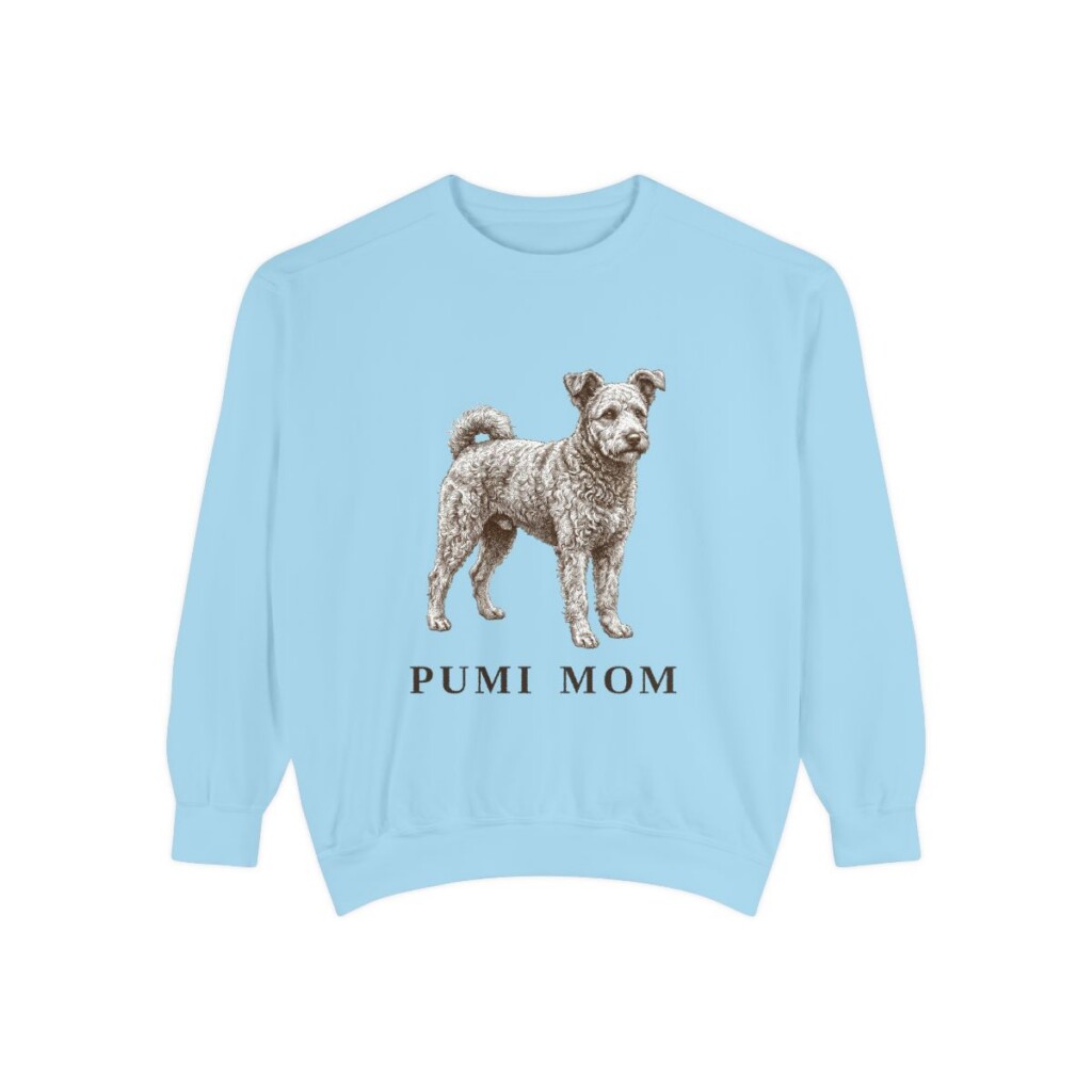Pumi Mom Sweatshirt, Chambray, front view