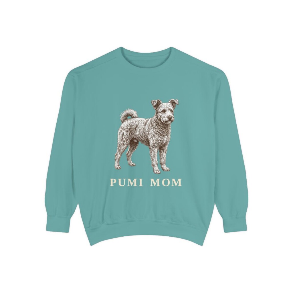 Pumi Mom Sweatshirt, Seafoam, front view