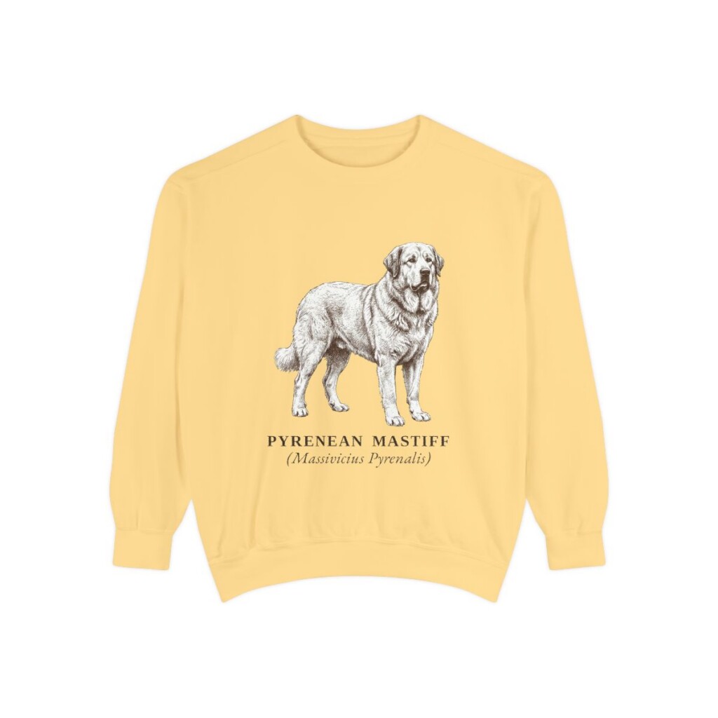 Pyrenean Mastiff Latin Sweatshirt, Butter, front view