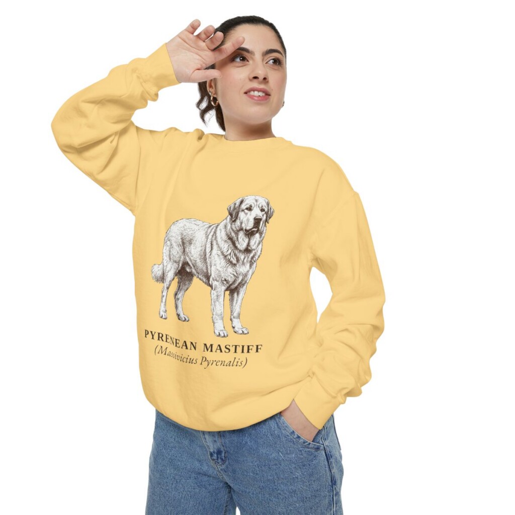Pyrenean Mastiff Latin Sweatshirt, Butter, person 2 context