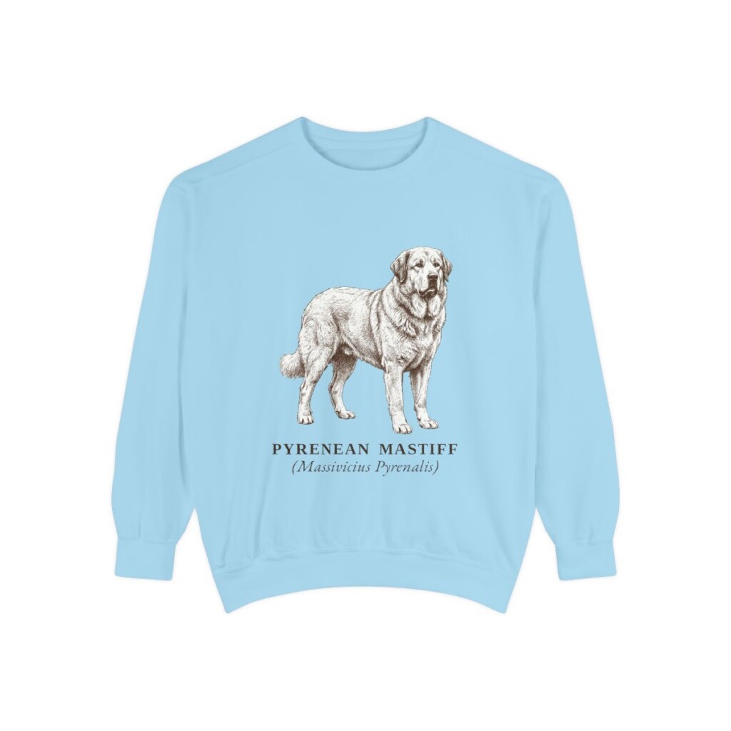 Pyrenean Mastiff Latin Sweatshirt, Chambray, front view
