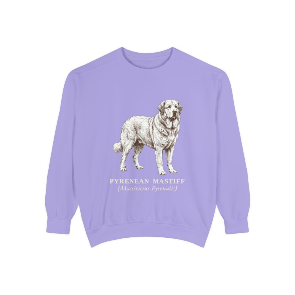 Pyrenean Mastiff Latin Sweatshirt, Violet, front view