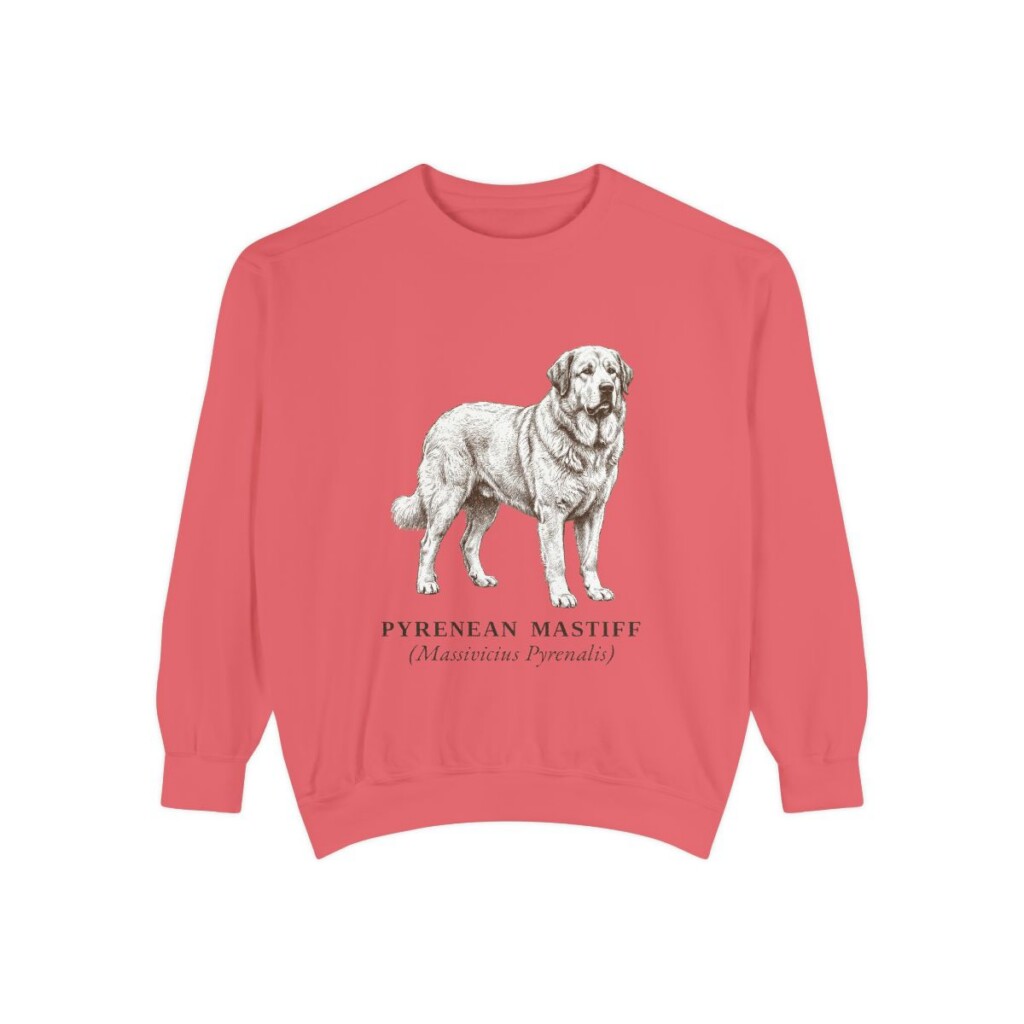 Pyrenean Mastiff Latin Sweatshirt, Watermelon, front view