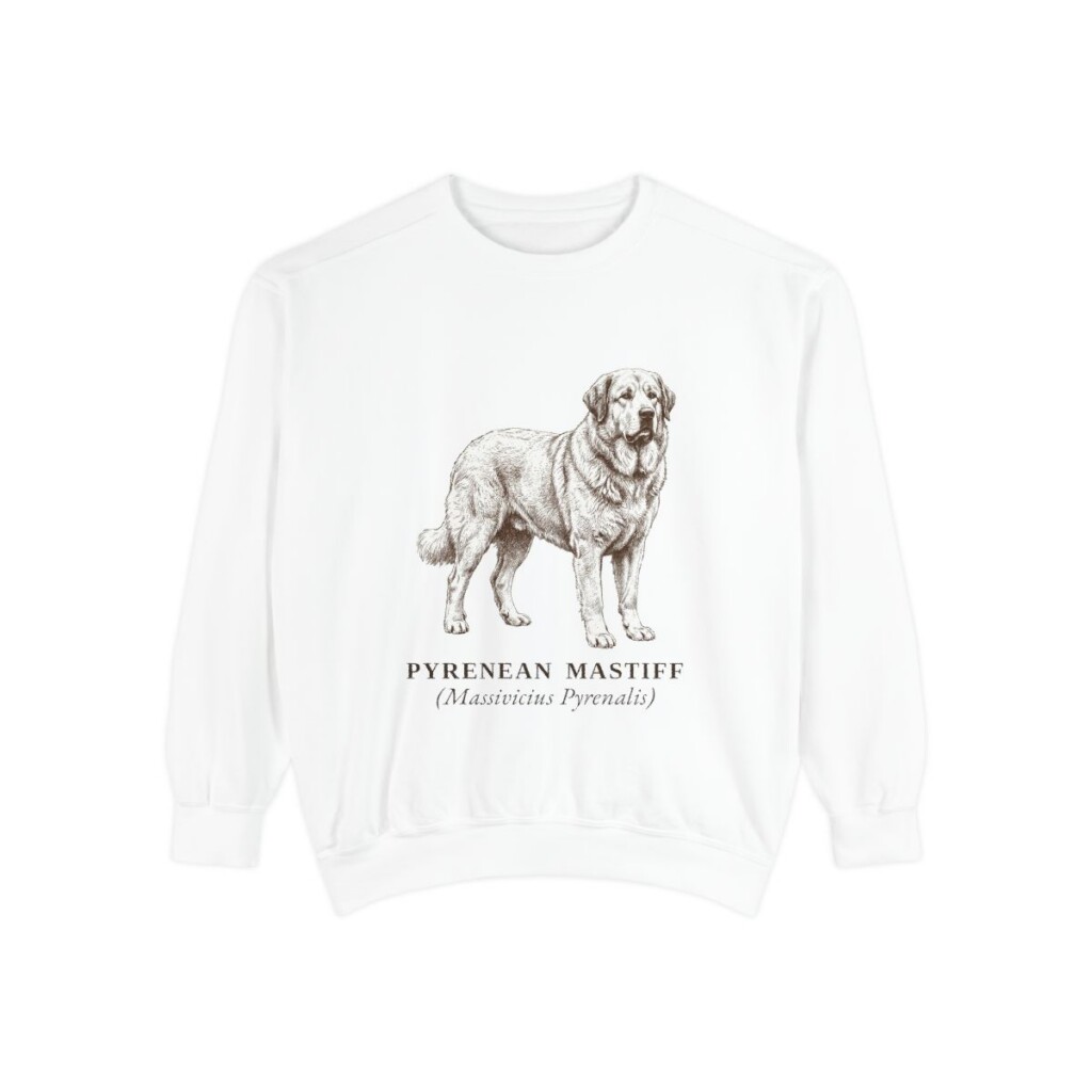 Pyrenean Mastiff Latin Sweatshirt, White, front view