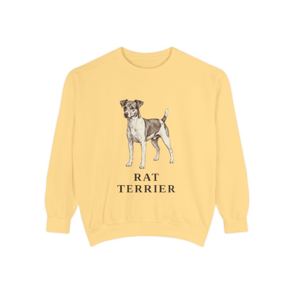 Rat Terrier Sweatshirt, Butter, front view