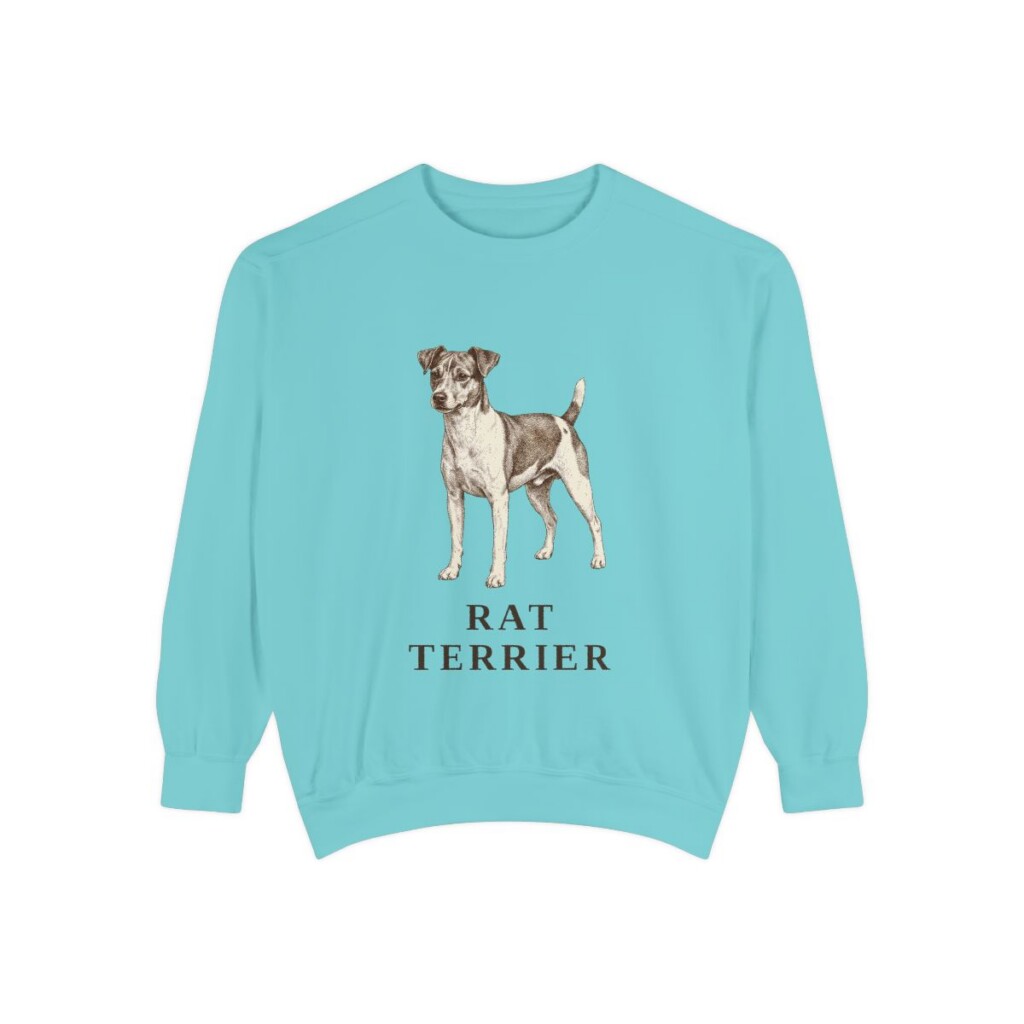 Rat Terrier Sweatshirt, Chalky Mint, front view
