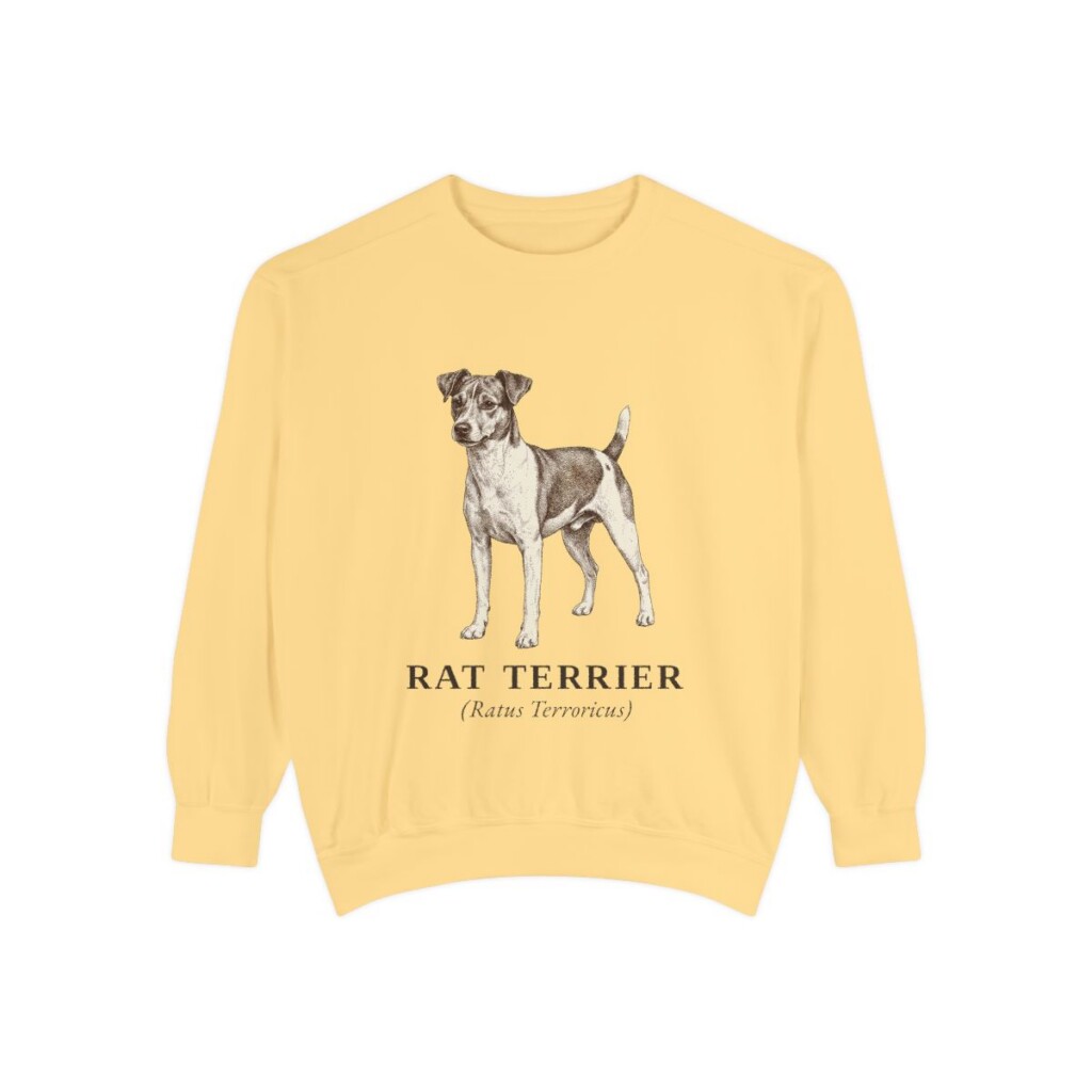 Rat Terrier Latin Sweatshirt, Butter, front view