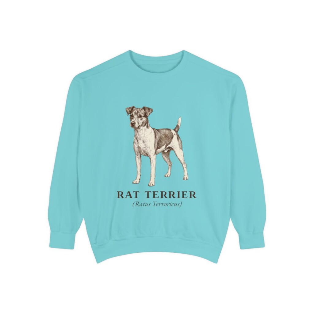 Rat Terrier Latin Sweatshirt, Chalky Mint, front view