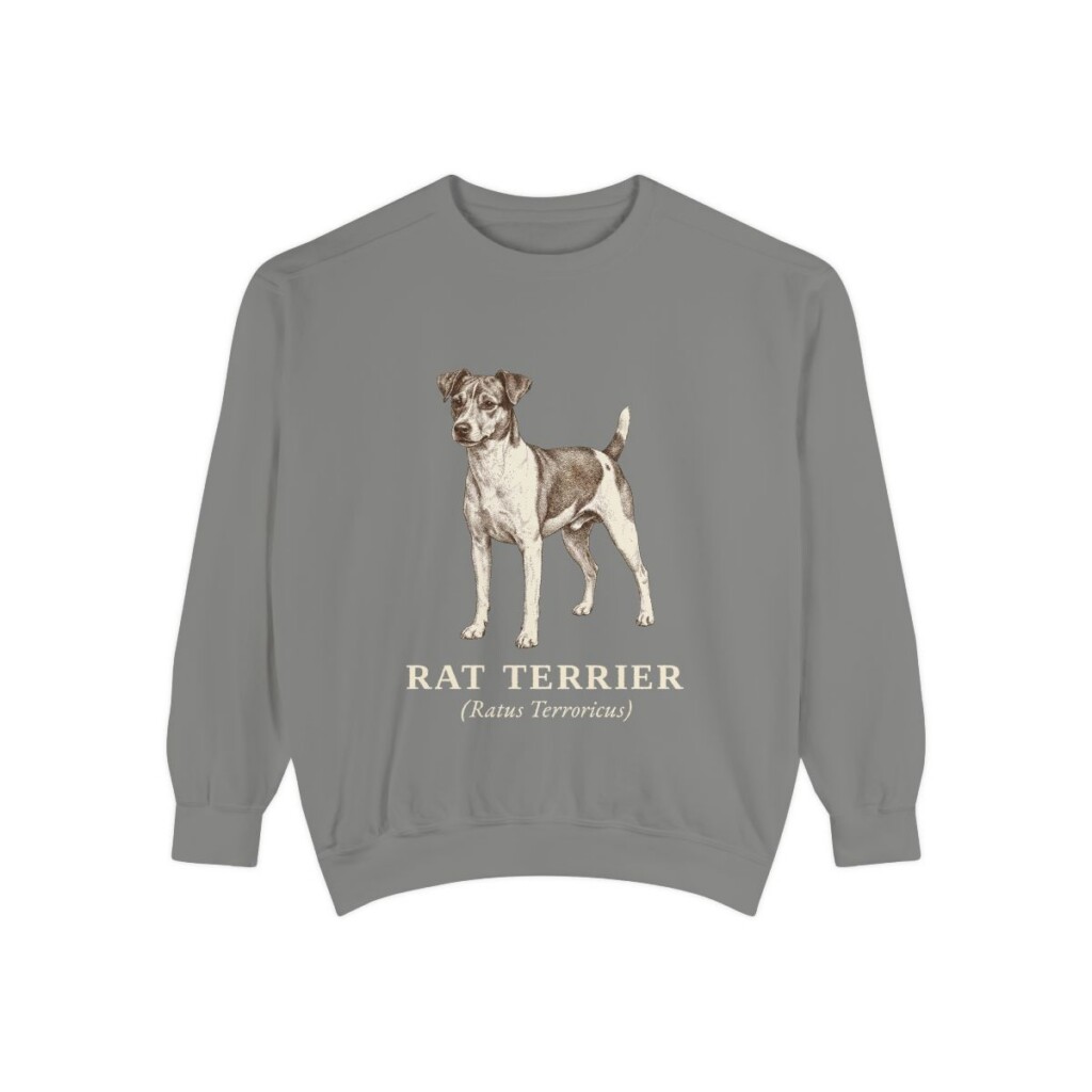 Rat Terrier Latin Sweatshirt, Grey, front view