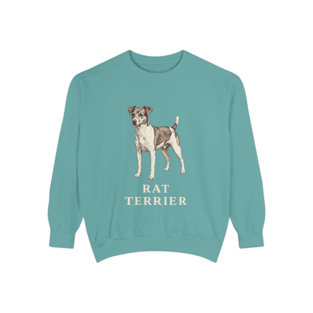 Rat Terrier Sweatshirt, Seafoam, front view