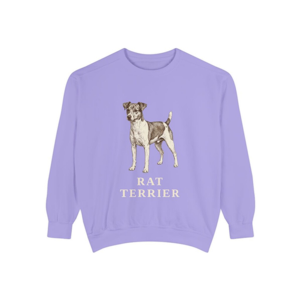 Rat Terrier Sweatshirt, Violet, front view