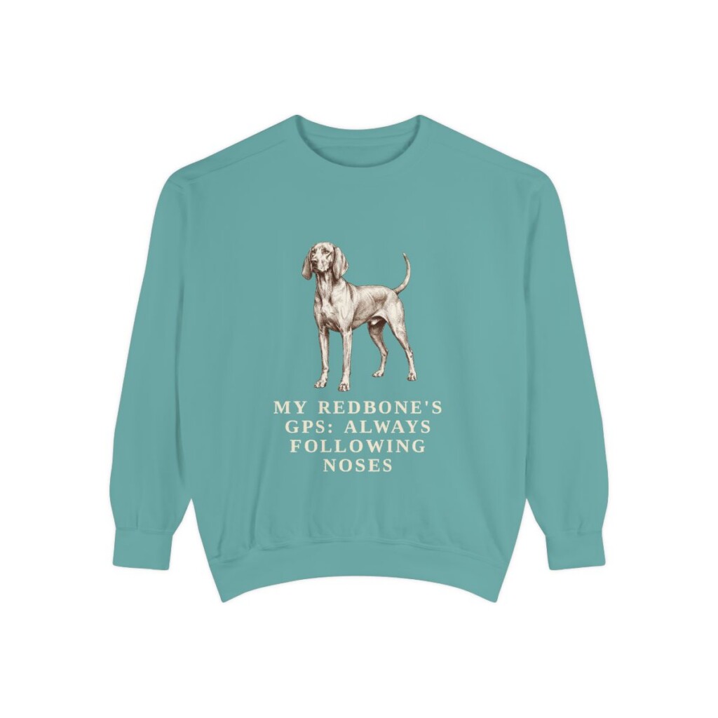 Redbone Coonhound Humor Sweatshirt, Seafoam, front view