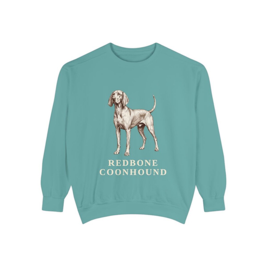 Redbone Coonhound Sweatshirt, Seafoam, front view