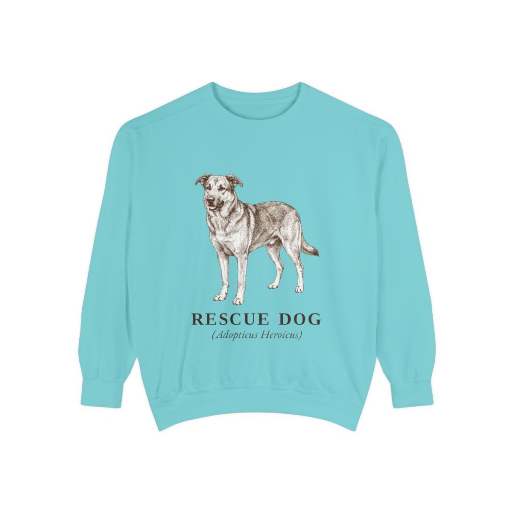 Rescue Dog Latin Sweatshirt, Chalky Mint, front view