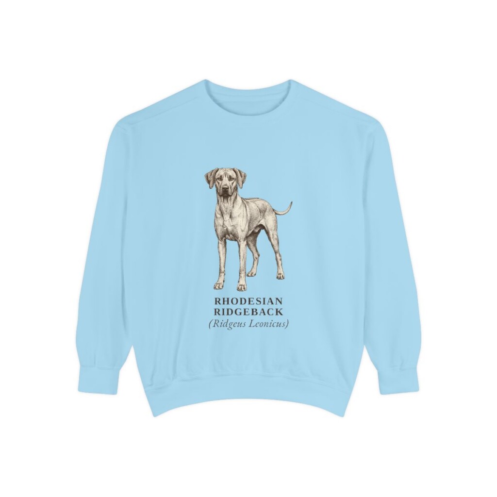 Rhodesian Ridgeback Latin Sweatshirt, Chambray, front view