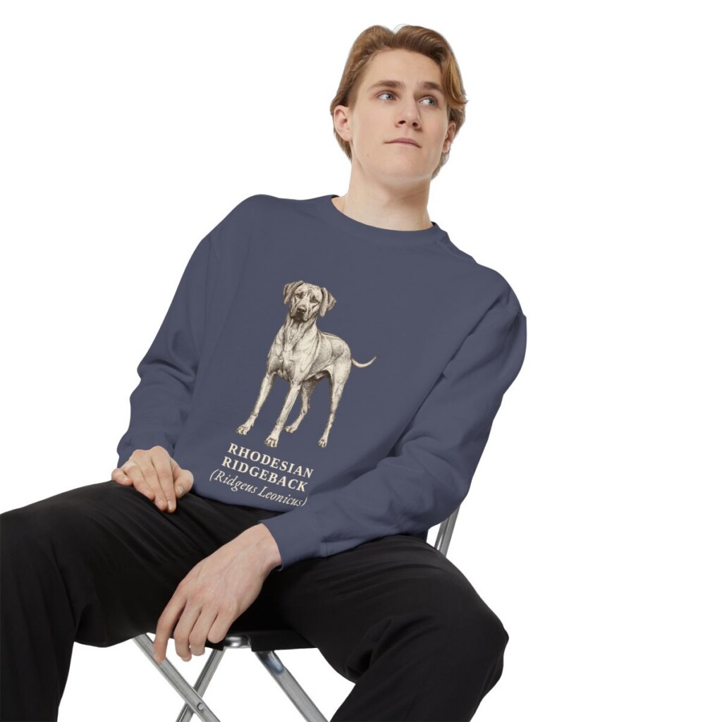 Rhodesian Ridgeback Latin Sweatshirt, Denim, person 1 context