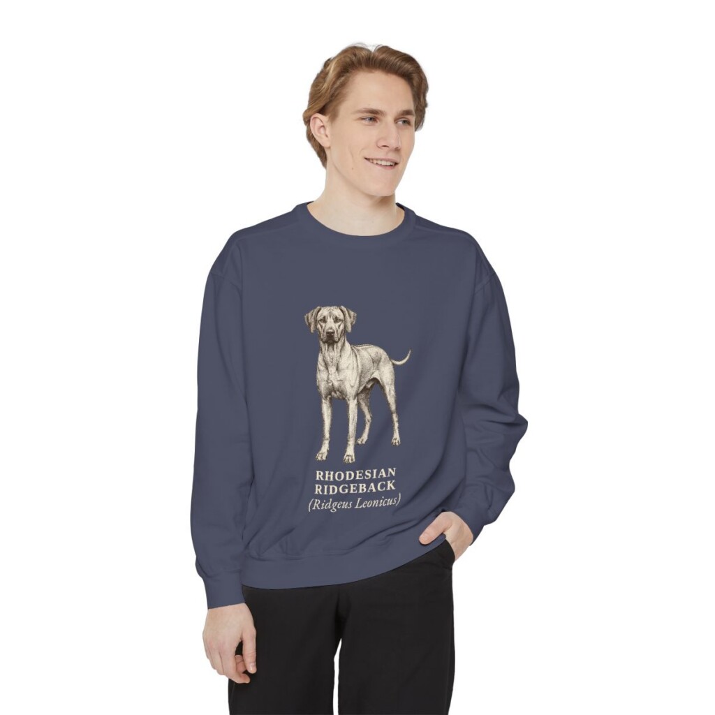 Rhodesian Ridgeback Latin Sweatshirt, Denim, person 1 front