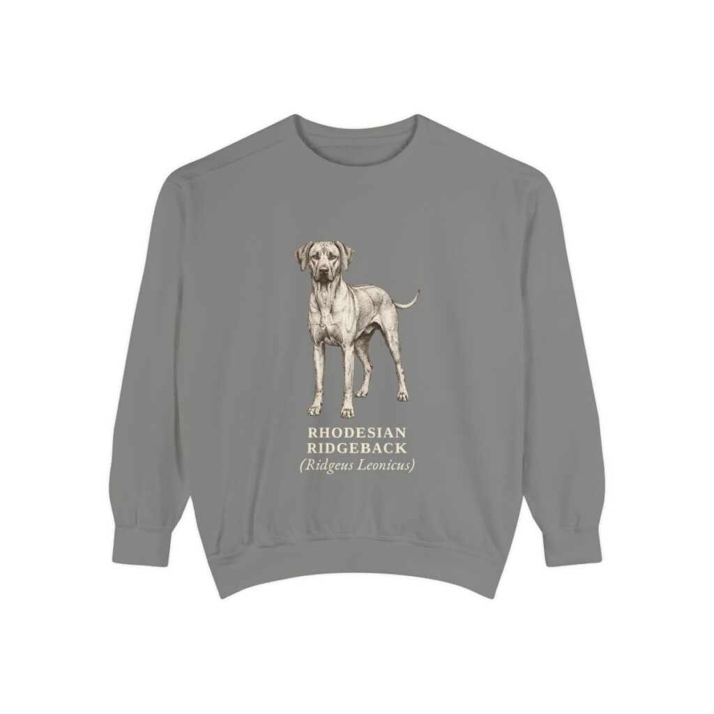 Rhodesian Ridgeback Latin Sweatshirt, Grey, front view