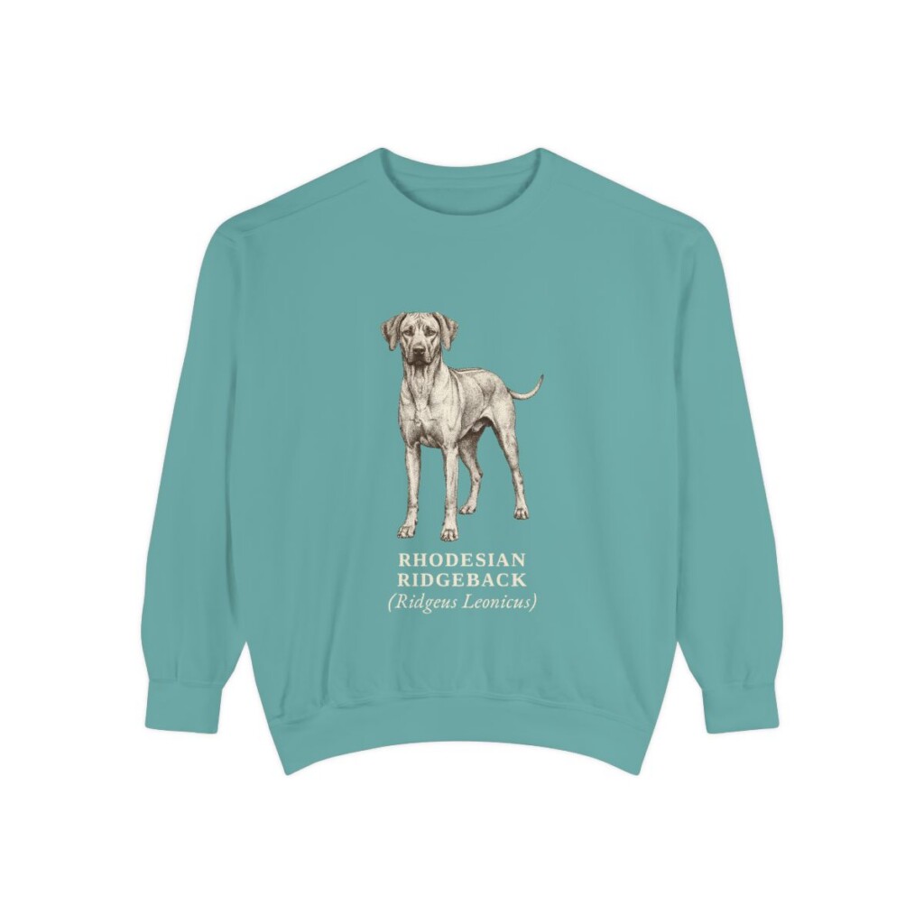 Rhodesian Ridgeback Latin Sweatshirt, Seafoam, front view